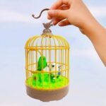 BIRD TOYS