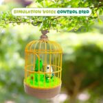 BIRD TOYS