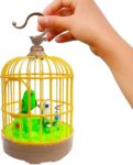 BIRD TOYS