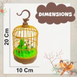 BIRD TOYS