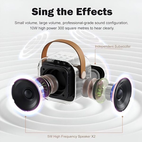 Karaoke Sound System