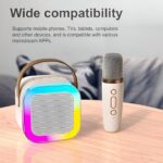 Karaoke Sound System
