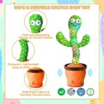 Dancing Cactus Toy