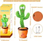 Dancing Cactus Toy