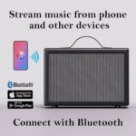 M18 max wireless speaker
