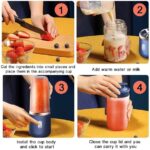 Small Portable Juicer