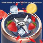 Small Portable Juicer