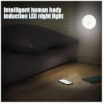Intelligent induction lamp