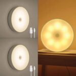 Intelligent induction lamp
