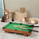 Mini Snooker Table
