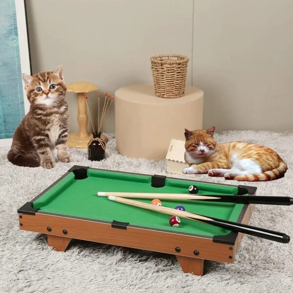 Mini Snooker Table