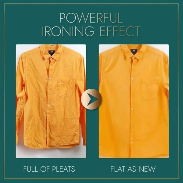 Portable mini dry iron
