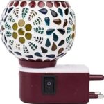 KAPOOR DANI 1Multipurpose electric device