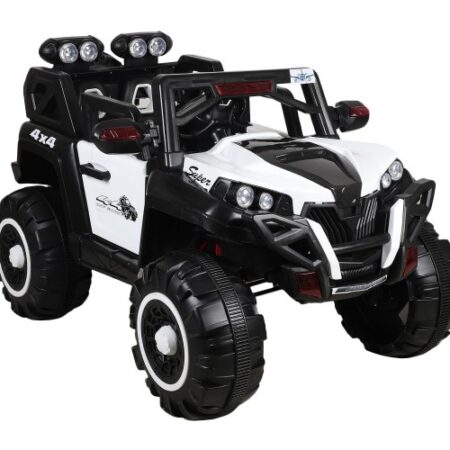 BUTTERFLY CAR(2188. KIDS. AUTO CAR)