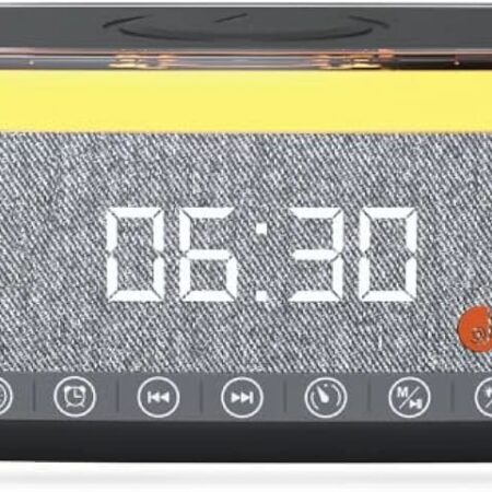 JUST CORSECA Sushi Elegante Bluetooth Speaker Alarm Clock