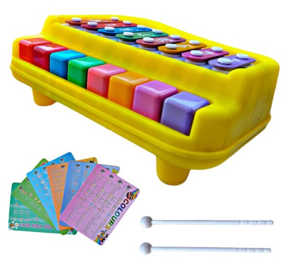 2-in-1 piano and xylophone musical toy for kids