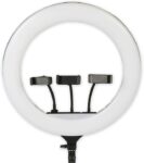 Fitgear Ring Fill Light FG-18A